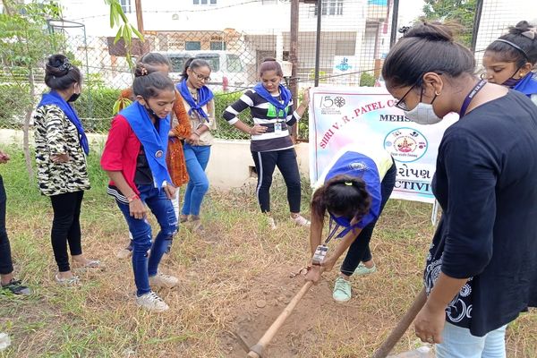 Tree Plantation Programme 